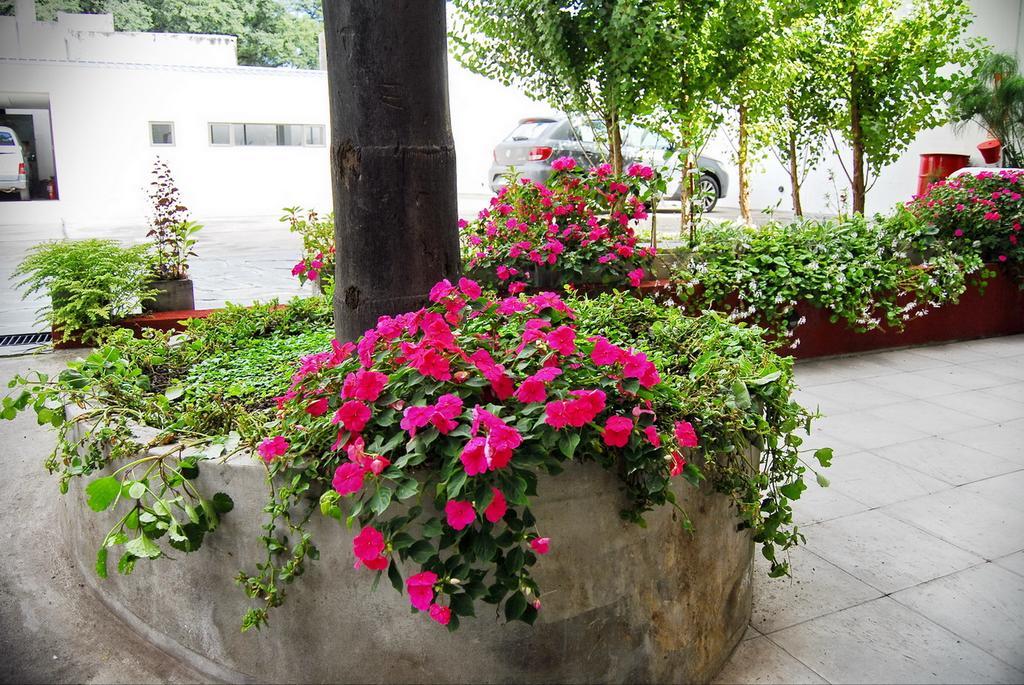 Tramas Andinas Aparthotel Salta Bagian luar foto